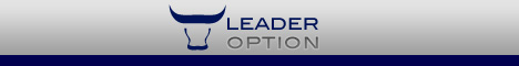 LeaderOption