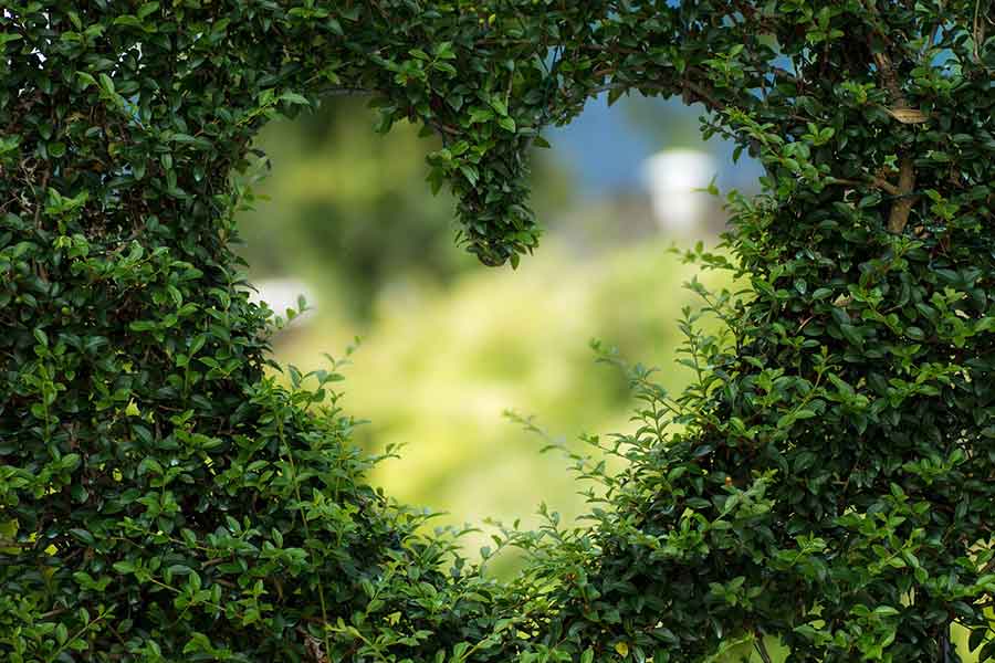 Un coeur dans un jardin